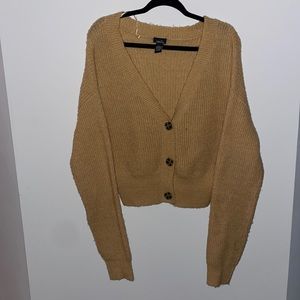 Thin Fall Sweater
